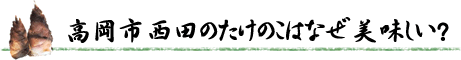 高岡市西田のたけのこはなぜ美味しい？