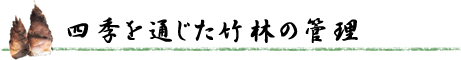 四季を通じた竹林の管理